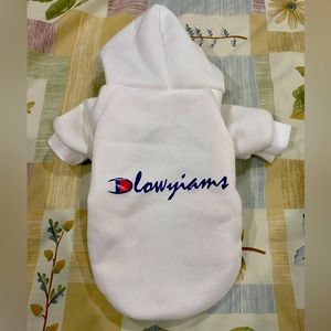 Kitten or small dog hoodie